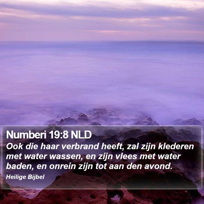 Numberi 19:8 NLD Bible Study
