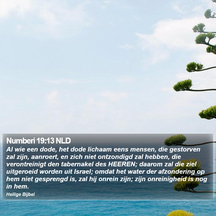 Numberi 19:13 NLD Bible Study