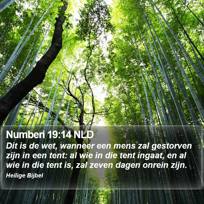 Numberi 19:14 NLD Bible Study