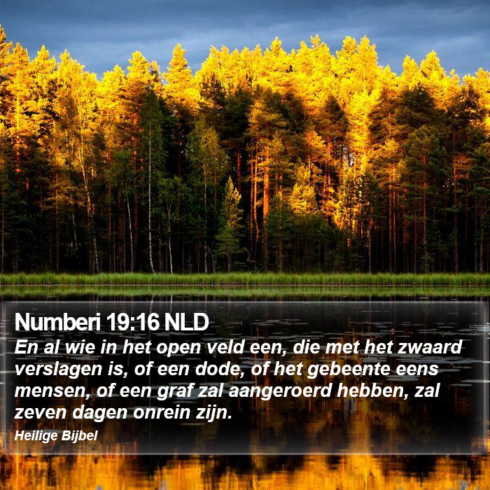 Numberi 19:16 NLD Bible Study