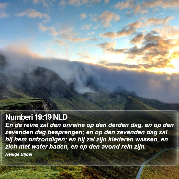 Numberi 19:19 NLD Bible Study