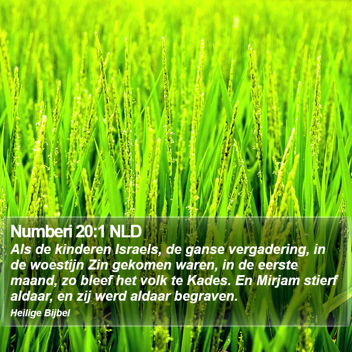 Numberi 20:1 NLD Bible Study