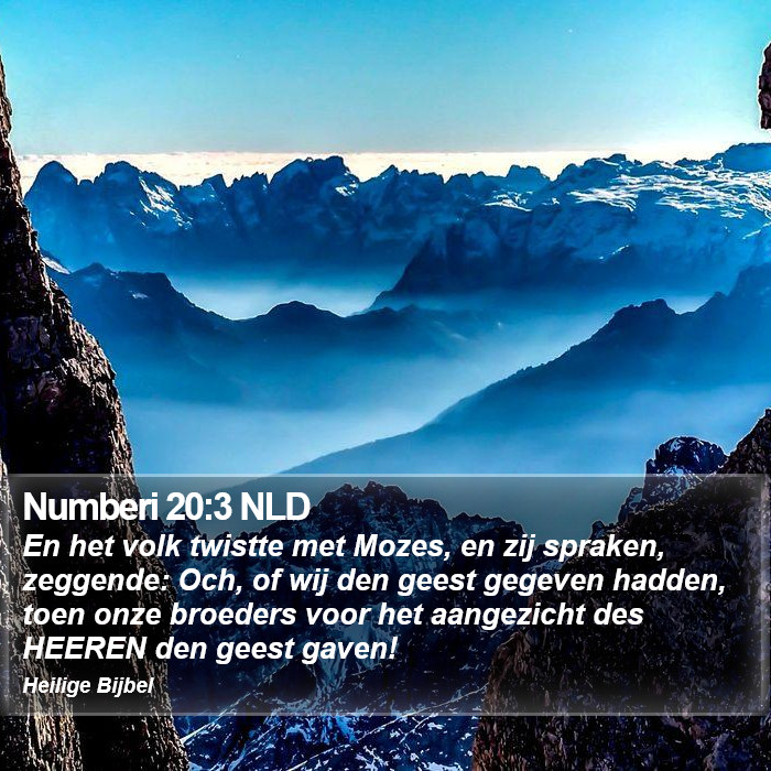 Numberi 20:3 NLD Bible Study