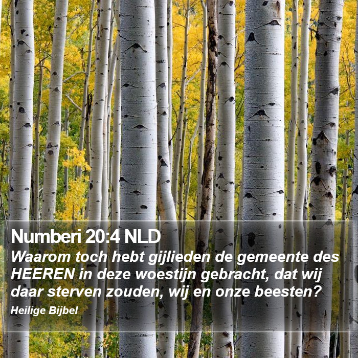 Numberi 20:4 NLD Bible Study