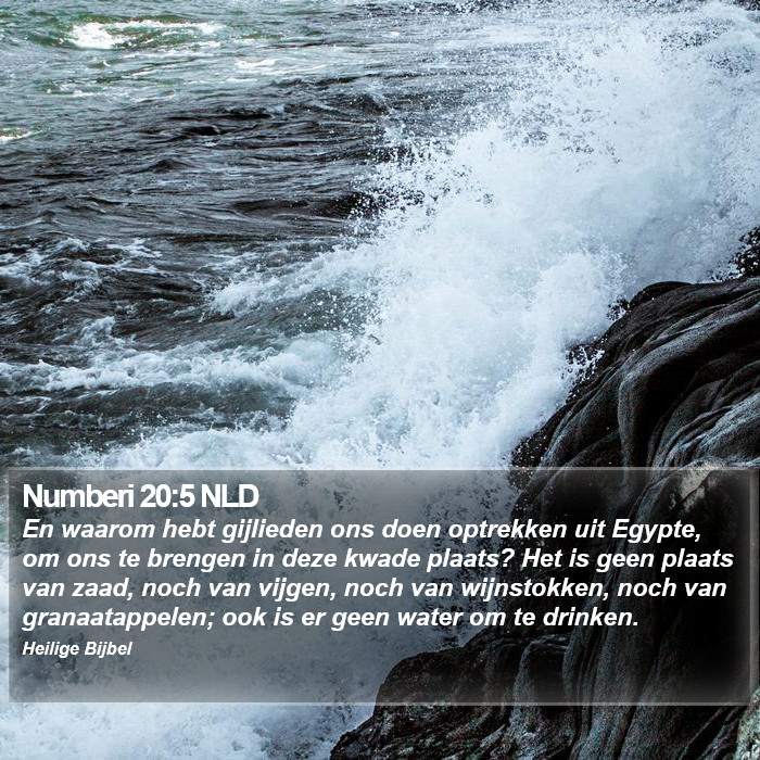 Numberi 20:5 NLD Bible Study