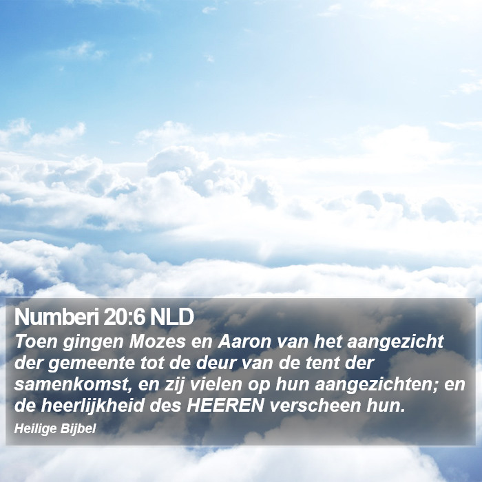 Numberi 20:6 NLD Bible Study