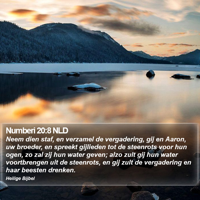 Numberi 20:8 NLD Bible Study