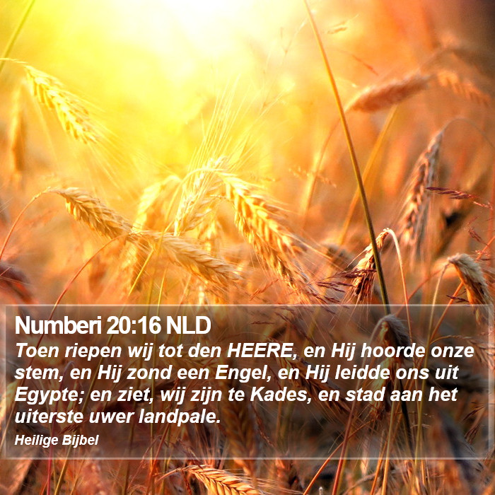 Numberi 20:16 NLD Bible Study