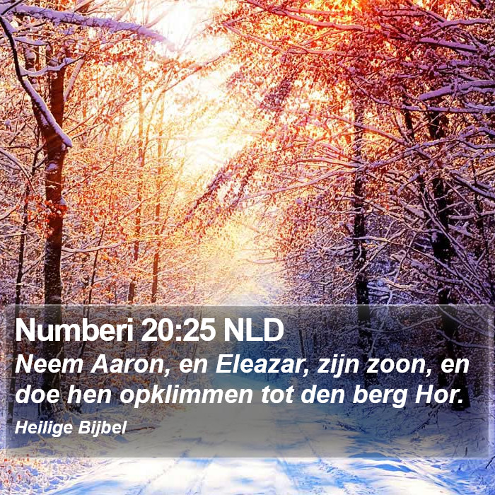 Numberi 20:25 NLD Bible Study