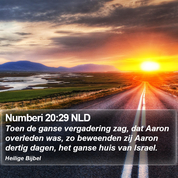 Numberi 20:29 NLD Bible Study