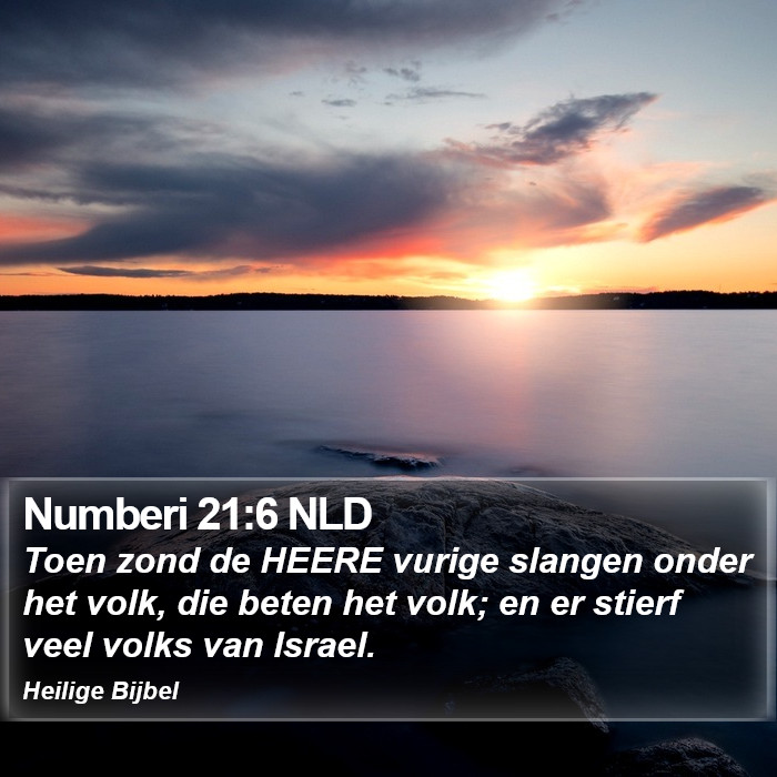 Numberi 21:6 NLD Bible Study