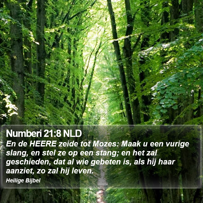Numberi 21:8 NLD Bible Study
