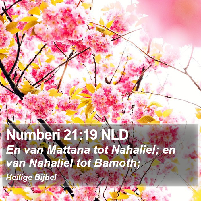 Numberi 21:19 NLD Bible Study