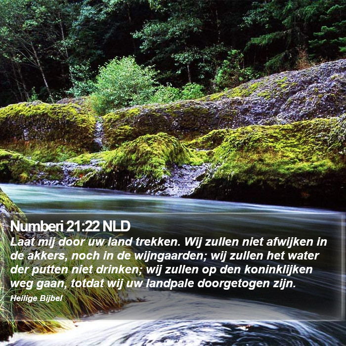 Numberi 21:22 NLD Bible Study