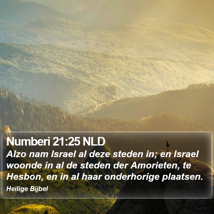 Numberi 21:25 NLD Bible Study