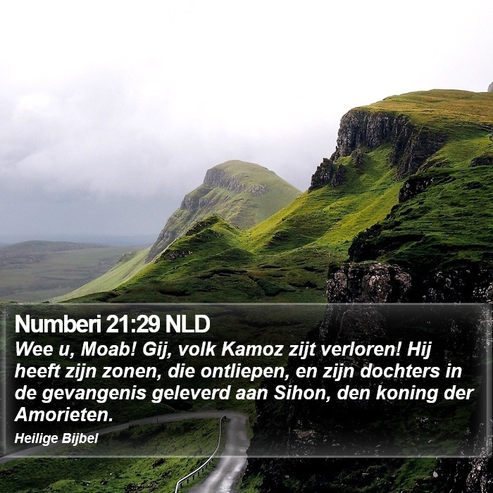 Numberi 21:29 NLD Bible Study