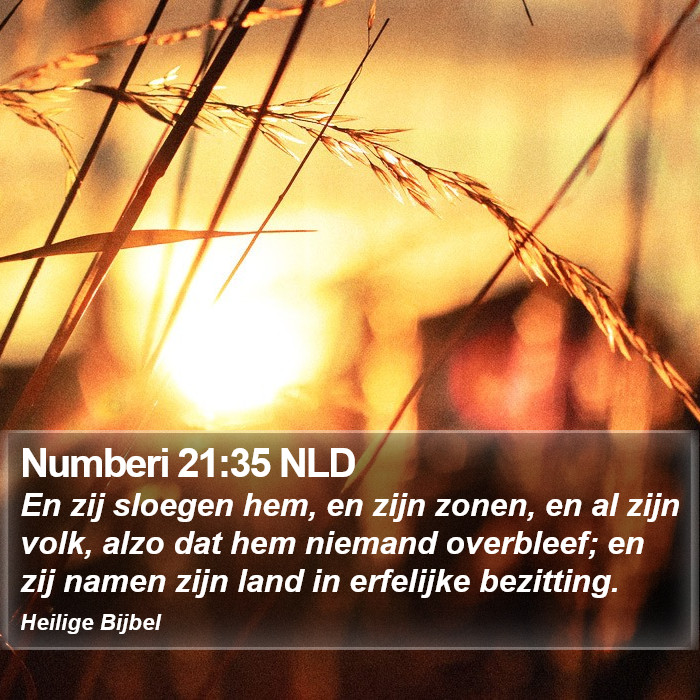 Numberi 21:35 NLD Bible Study
