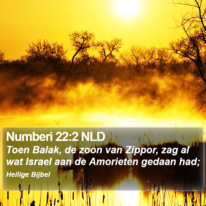Numberi 22:2 NLD Bible Study