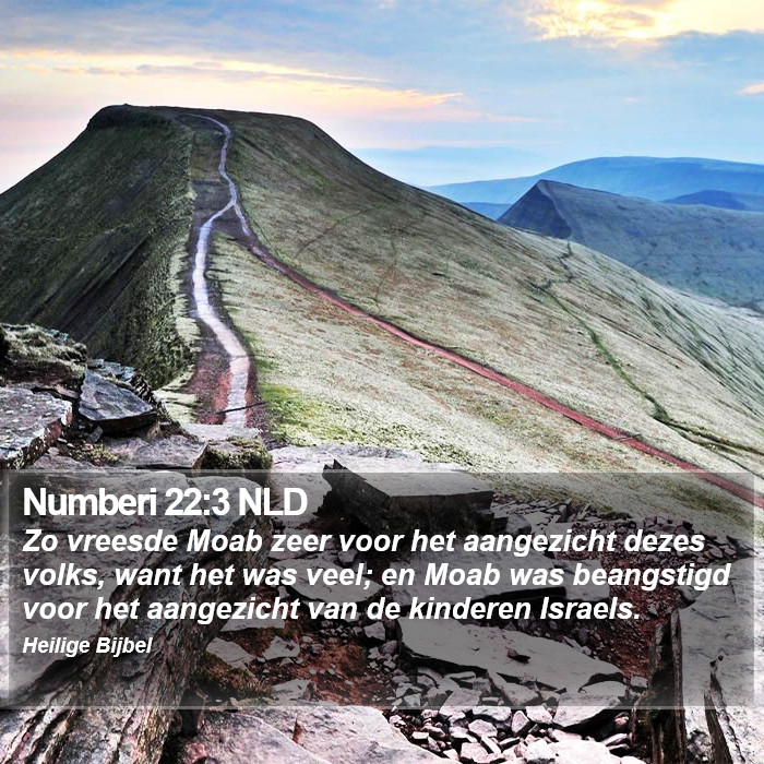 Numberi 22:3 NLD Bible Study