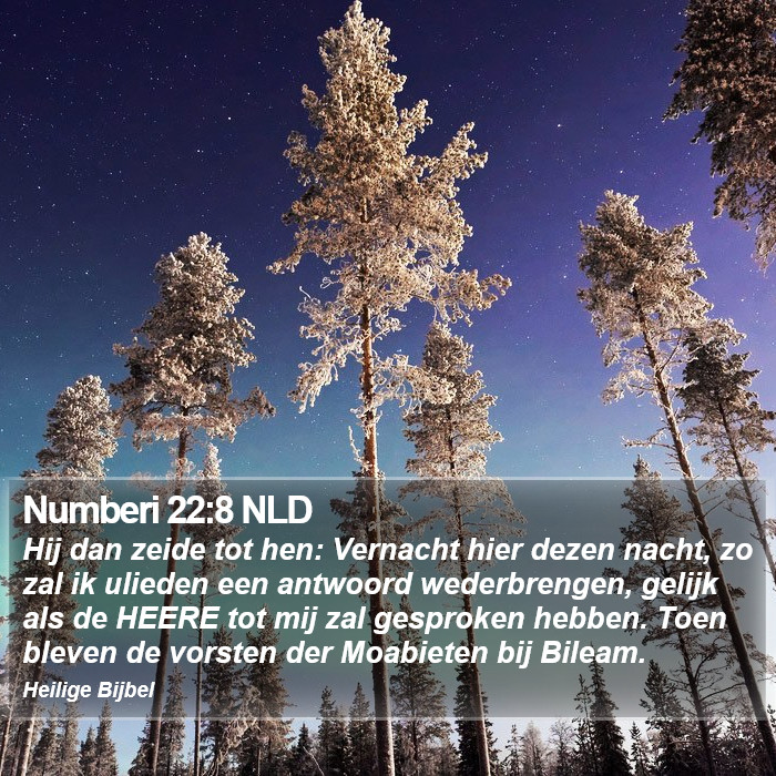 Numberi 22:8 NLD Bible Study