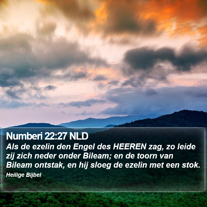 Numberi 22:27 NLD Bible Study