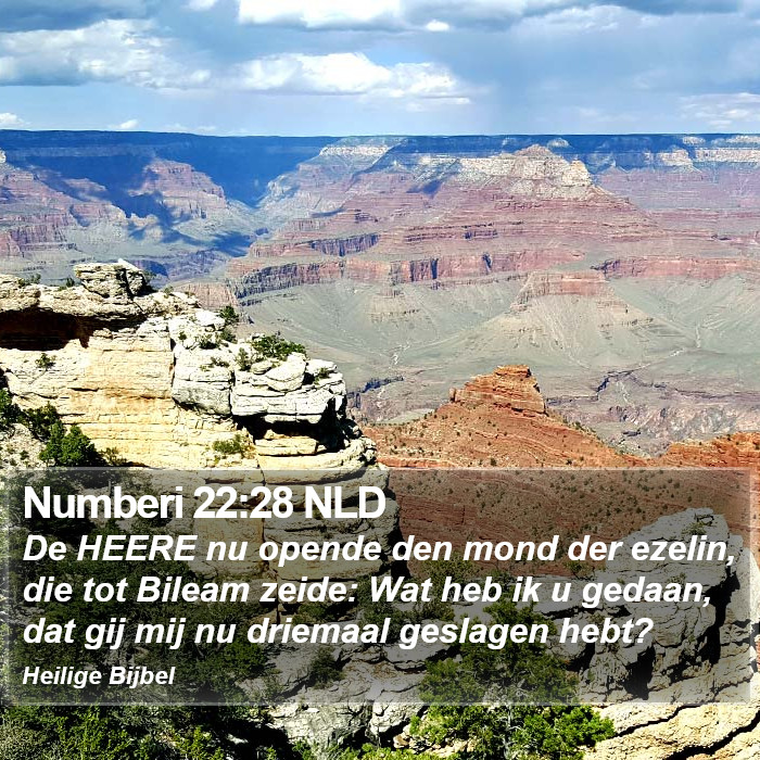 Numberi 22:28 NLD Bible Study