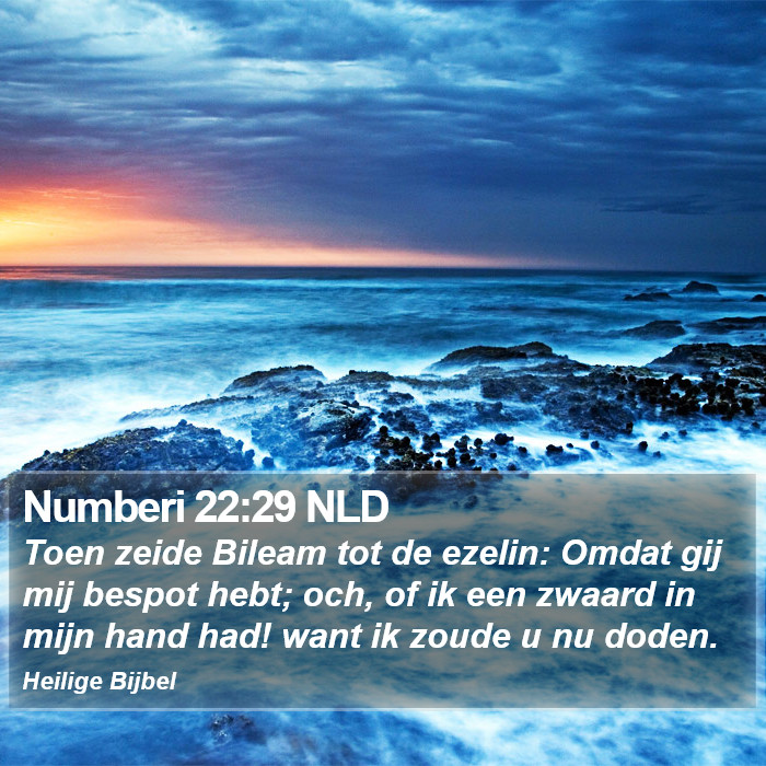 Numberi 22:29 NLD Bible Study