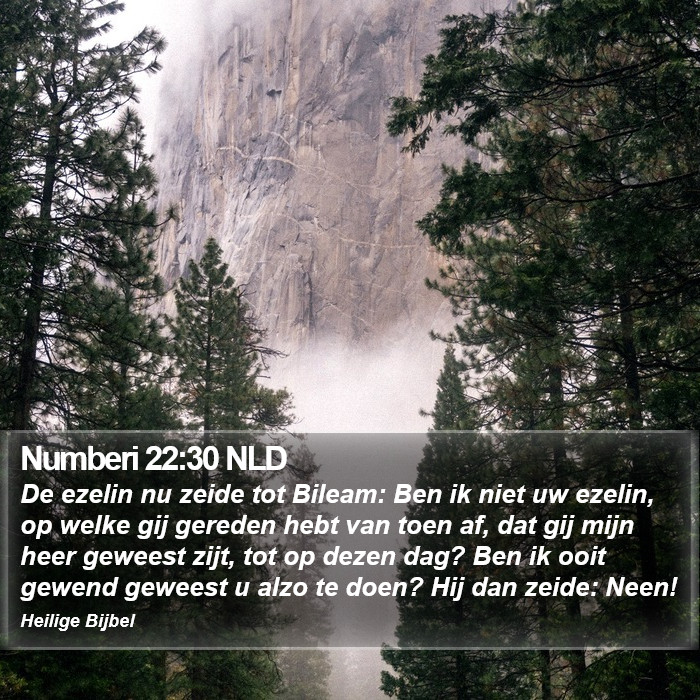 Numberi 22:30 NLD Bible Study