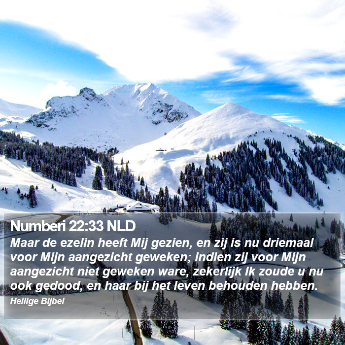 Numberi 22:33 NLD Bible Study