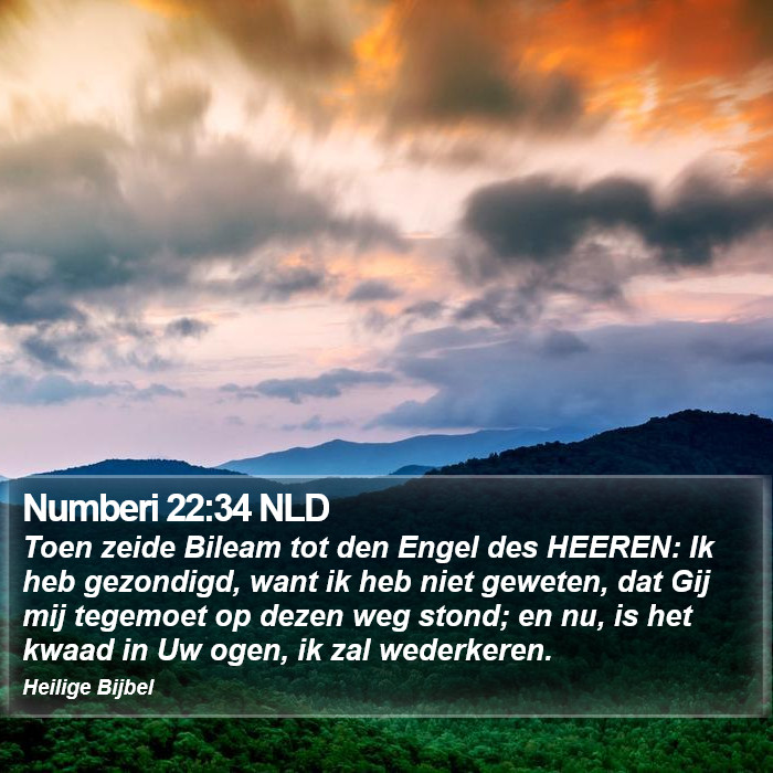 Numberi 22:34 NLD Bible Study