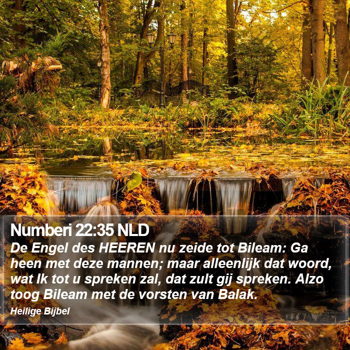 Numberi 22:35 NLD Bible Study