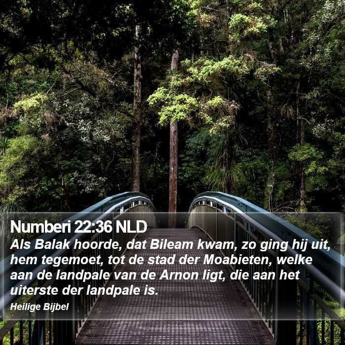 Numberi 22:36 NLD Bible Study