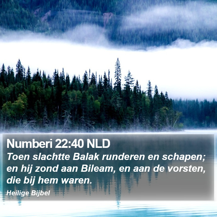 Numberi 22:40 NLD Bible Study