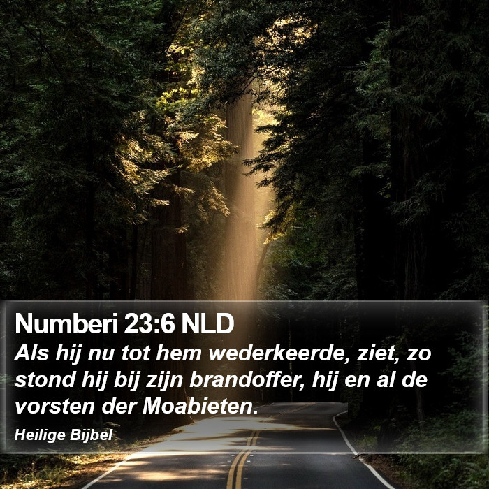 Numberi 23:6 NLD Bible Study