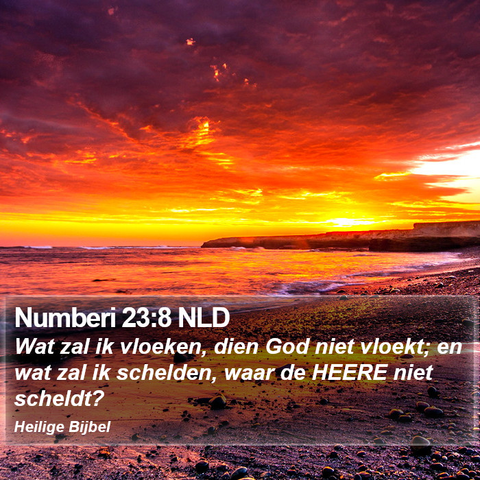 Numberi 23:8 NLD Bible Study