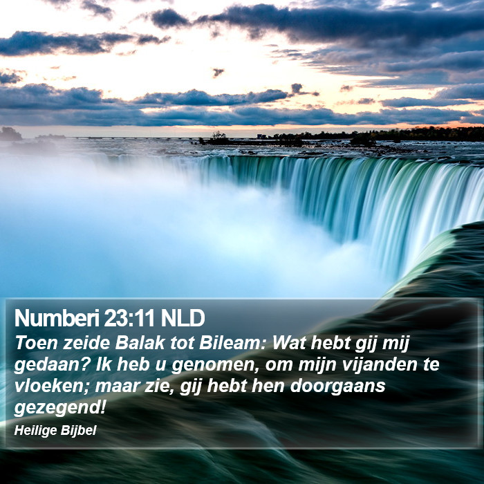 Numberi 23:11 NLD Bible Study