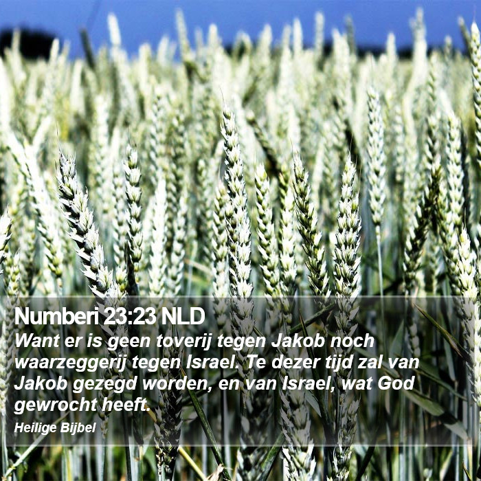 Numberi 23:23 NLD Bible Study