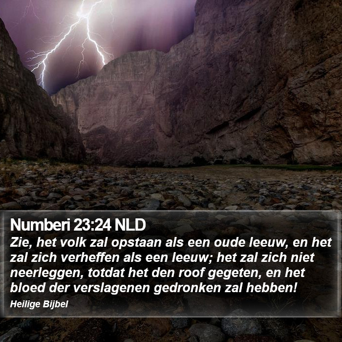 Numberi 23:24 NLD Bible Study