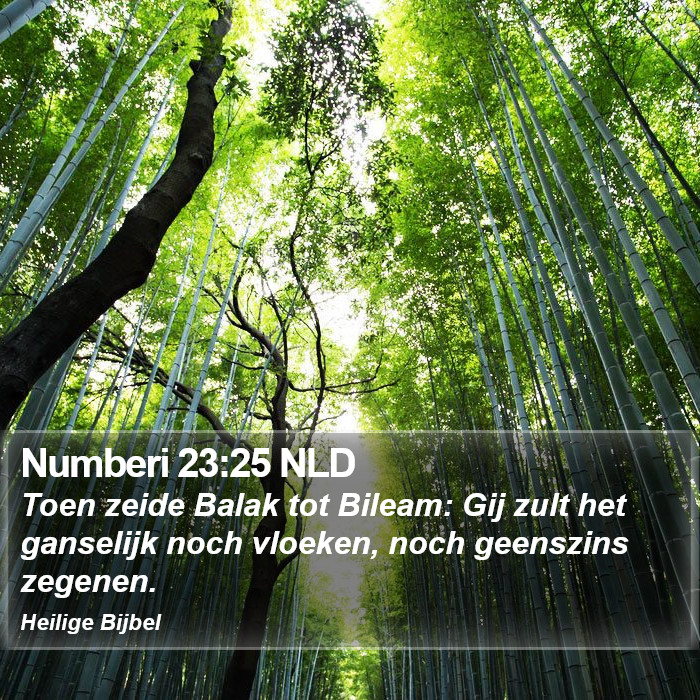 Numberi 23:25 NLD Bible Study