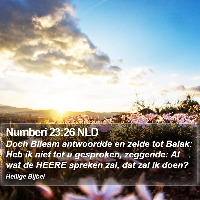 Numberi 23:26 NLD Bible Study