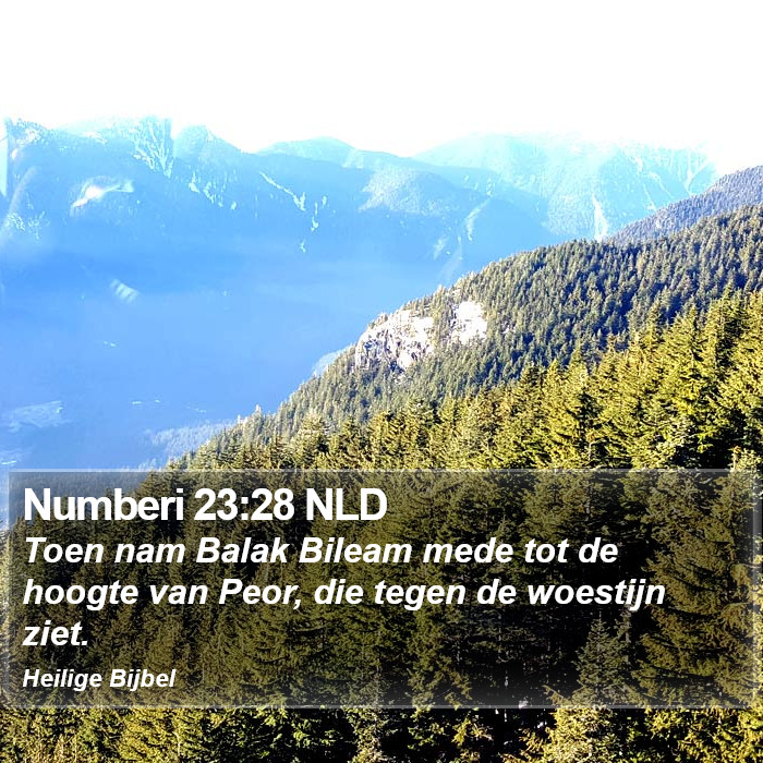 Numberi 23:28 NLD Bible Study