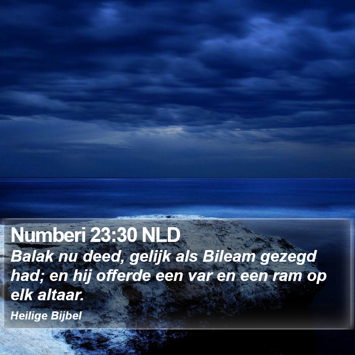 Numberi 23:30 NLD Bible Study