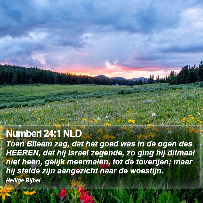 Numberi 24:1 NLD Bible Study