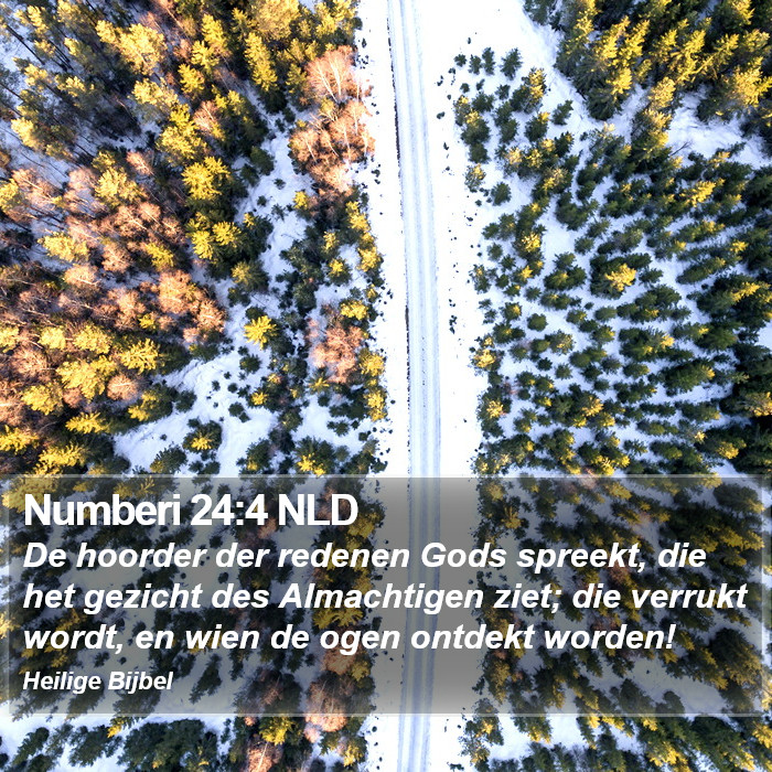 Numberi 24:4 NLD Bible Study