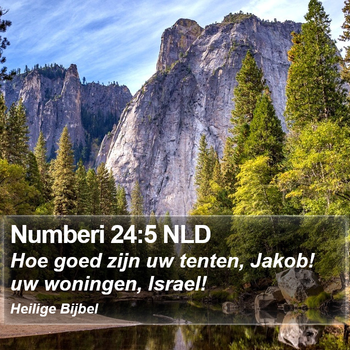 Numberi 24:5 NLD Bible Study