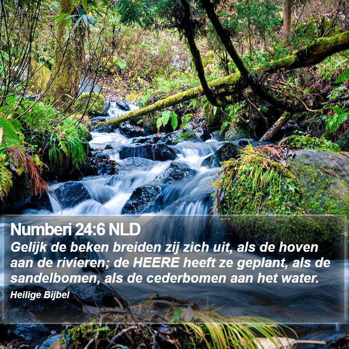 Numberi 24:6 NLD Bible Study