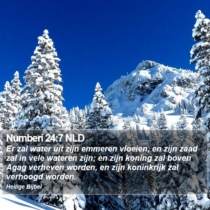 Numberi 24:7 NLD Bible Study