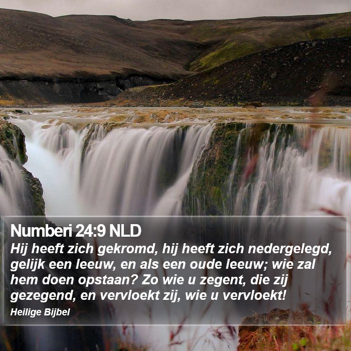 Numberi 24:9 NLD Bible Study