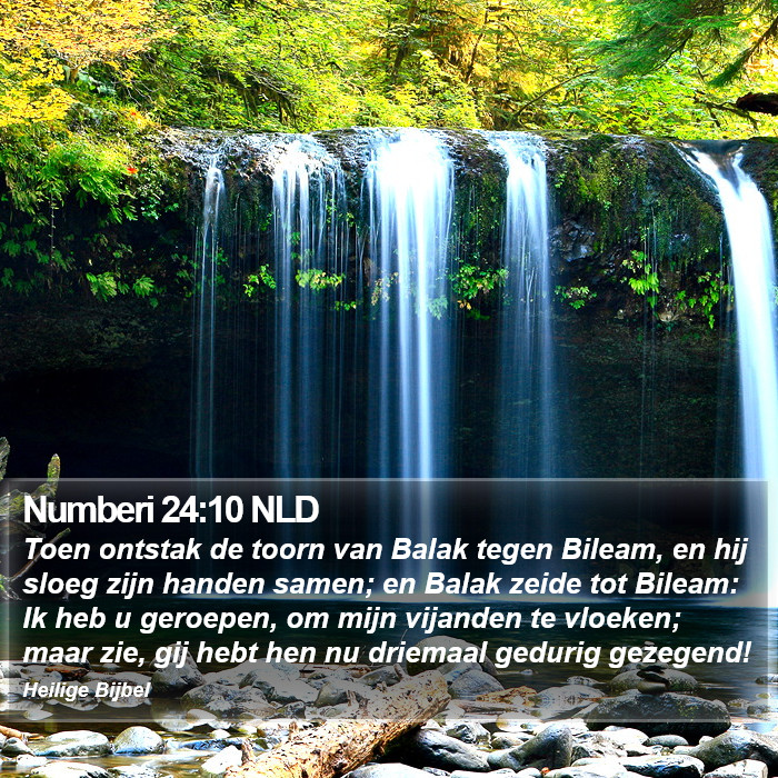 Numberi 24:10 NLD Bible Study