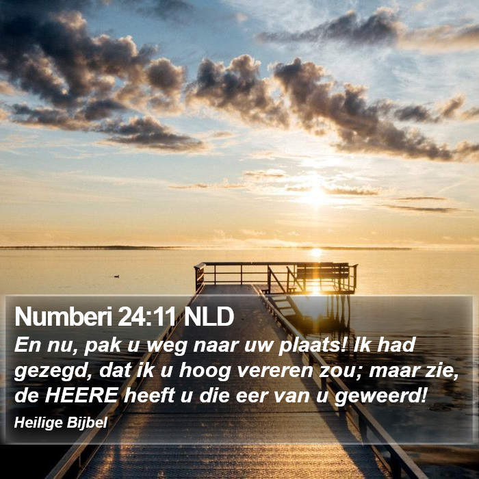 Numberi 24:11 NLD Bible Study